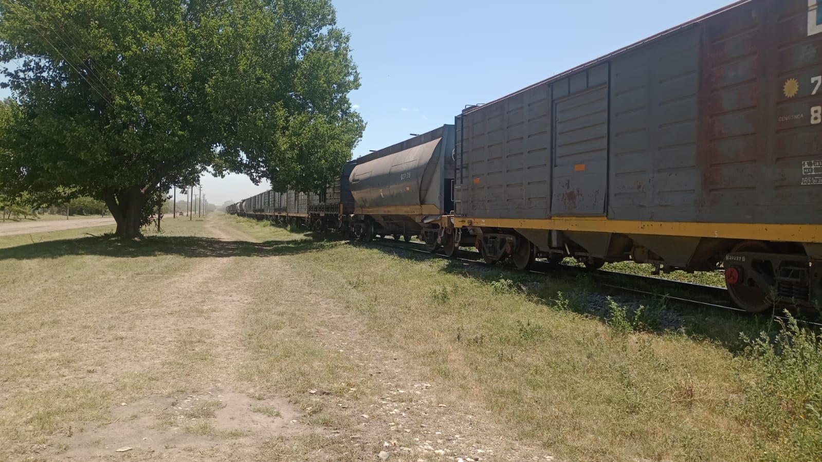 Calor y sequía: Cinco focos de incendio fueron provocados por las chispas del tren